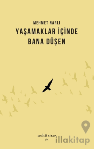 Yaşamaklar İçinde Bana Düşen