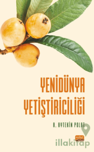 Yenidünya Yetiştiriciliği