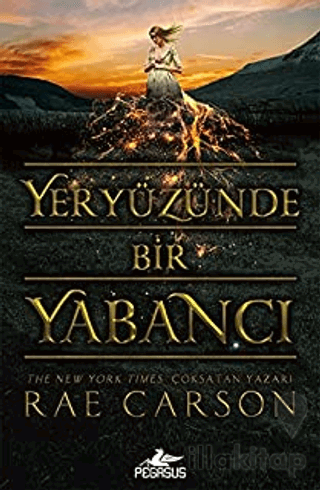 Yeryüzünde Bir Yabancı
