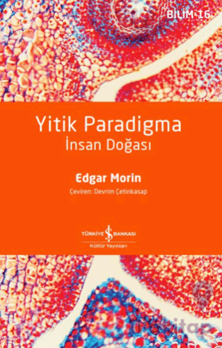 Yitik Paradigma - İnsan Doğası