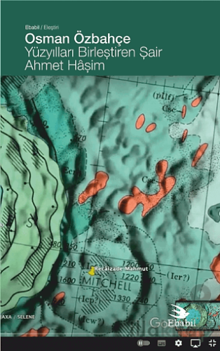Yüzyılları Birleştiren Şair Ahmet Hâşim