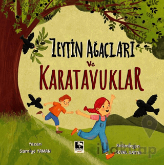 Zeytin Ağaçları ve Karatavuklar