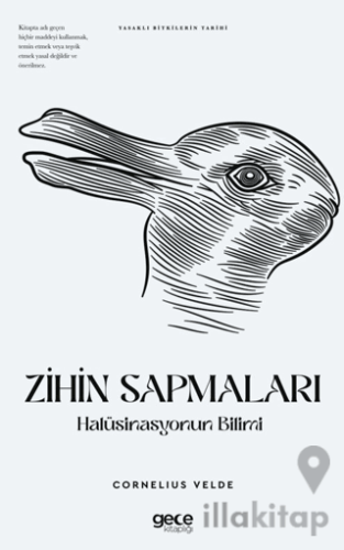 Zihin Sapmaları Halüsinasyonun Bilimi