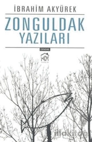 Zonguldak Yazıları